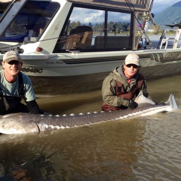 Meet your Posher, Cris - Picture 1 of 1